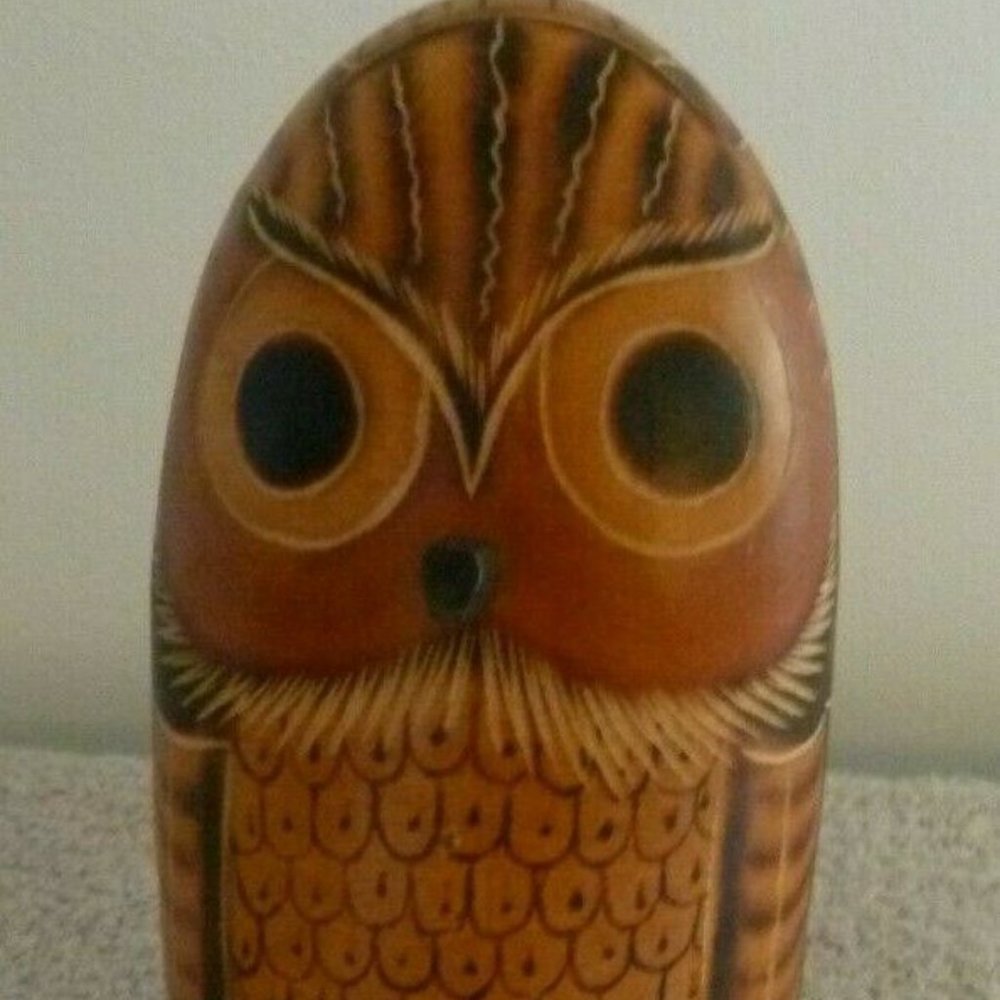 Handmade Mother Owl Shaker and Drum (Peru) i